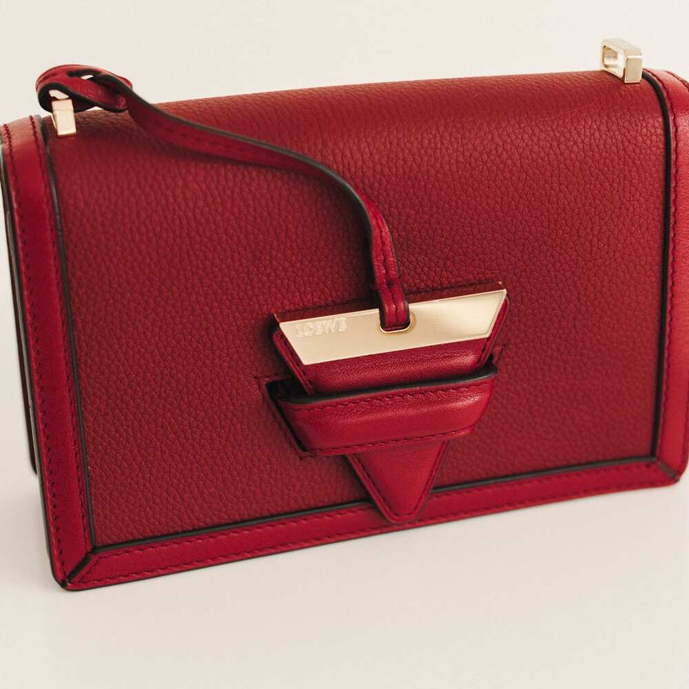Loewe Barcelona Small Leather Shoulder Bag Red with Gold Hardware image 5